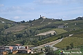 VBS_6346 - C'è un mare di velluto verde! E tu che sognavi di andare lontano... Quanta meraviglia, quì!
